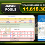 JAPAN 11.618.300