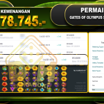 GatesOfOlympus1000