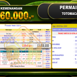 TOTOMACAU-4D